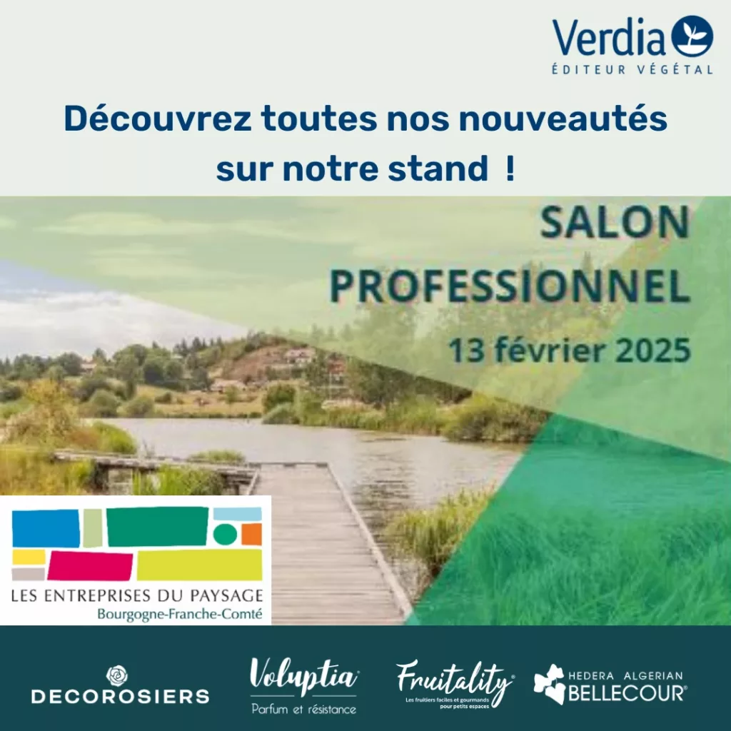 unep-bourgogne-dole-VERDIA-vignette