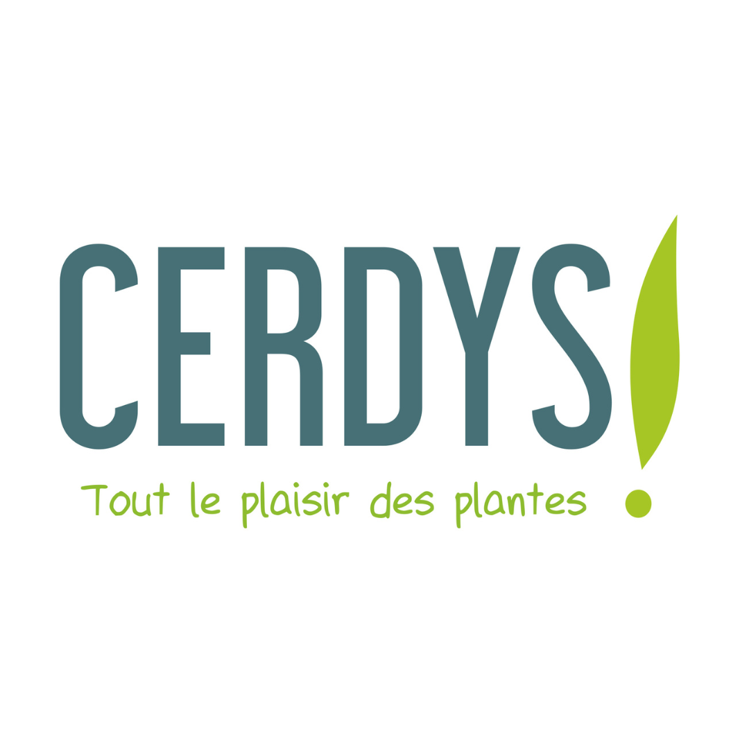 Lire la suite à propos de l’article CERDYS à BOUSSAY