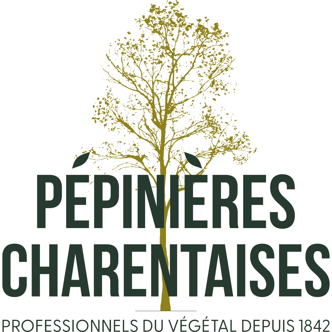 Lire la suite à propos de l’article PEPINIERES CHARENTAISES à MONTEMBOEUF