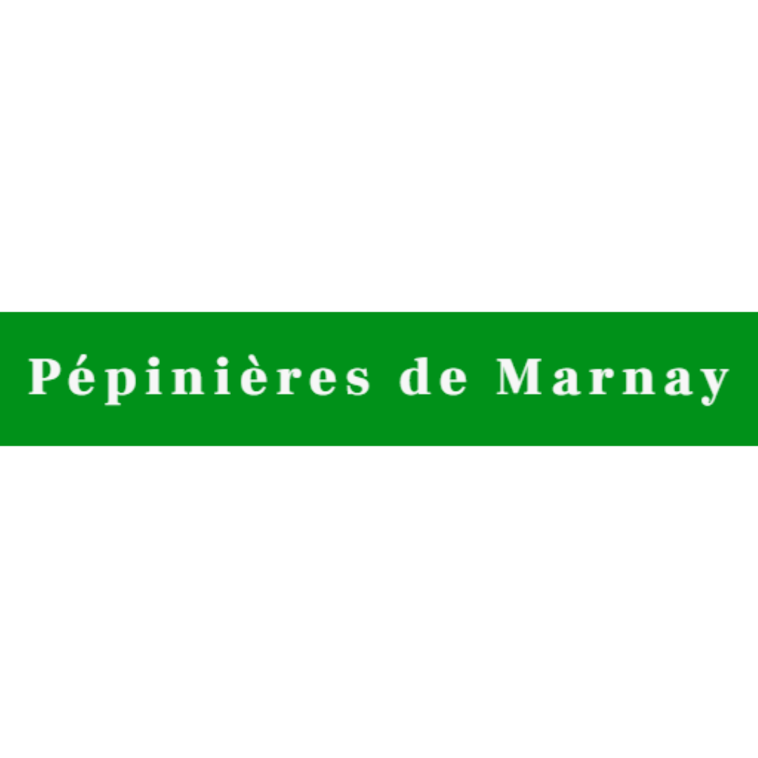 Lire la suite à propos de l’article LES PEPINIERES DE MARNAY à MARNAY